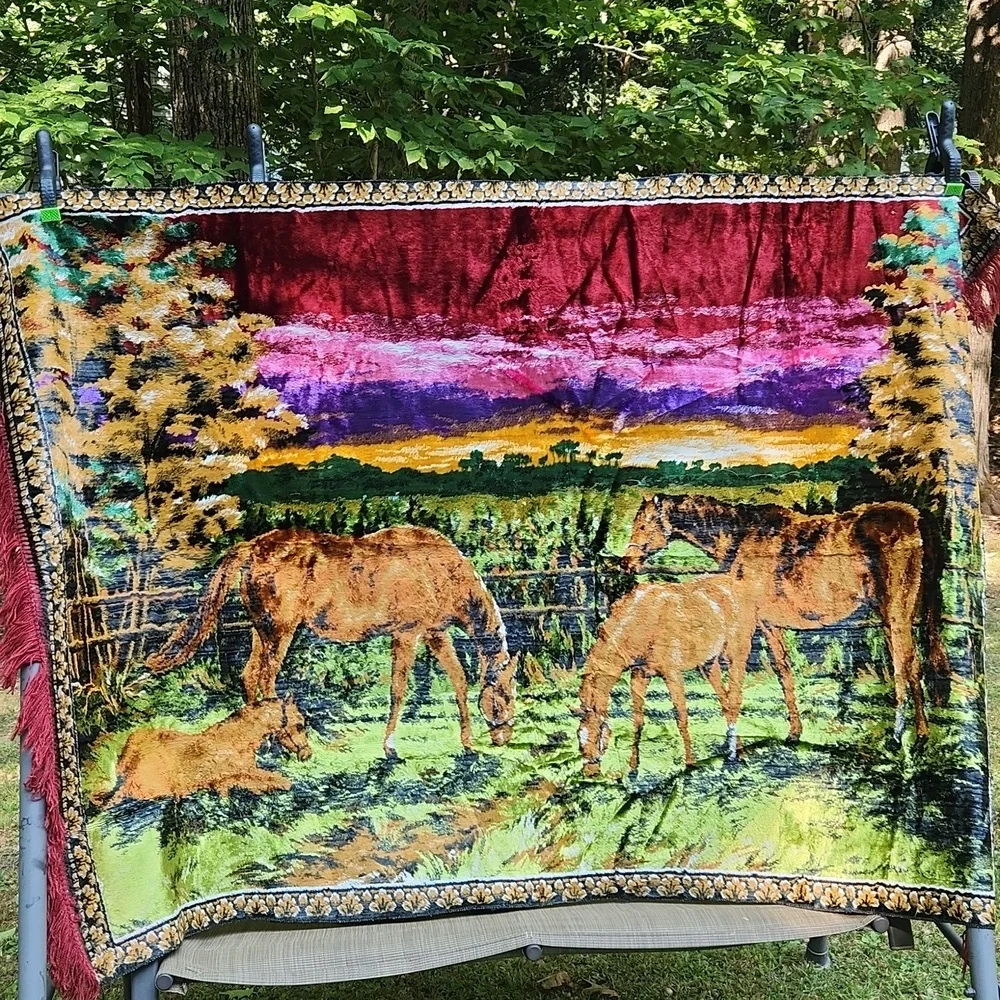 Vintage Large western Equestrian Woven wall hanging or throw rug With Fringe
